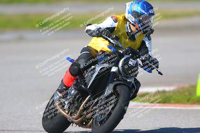 media/Jan-20-2023-Fastrack Riders (Fri) [[f2ad32aba3]]/Level 1/session 4 turn 6/